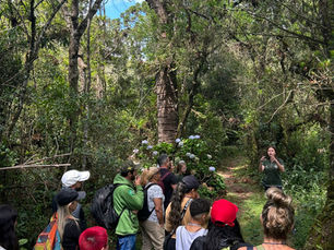 IV Circuito Ecológico na Mantiqueira promove conexão com a natureza