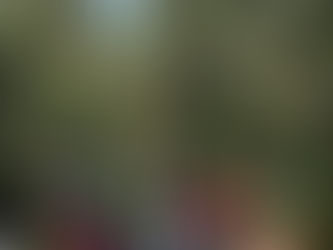 IV Circuito Ecológico na Mantiqueira promove conexão com a natureza