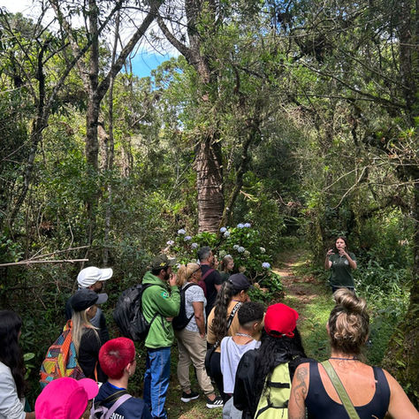 IV Circuito Ecológico na Mantiqueira promove conexão com a natureza