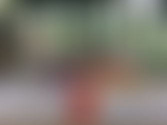 Parque Aldeia do Imigrante: 41 anos de história