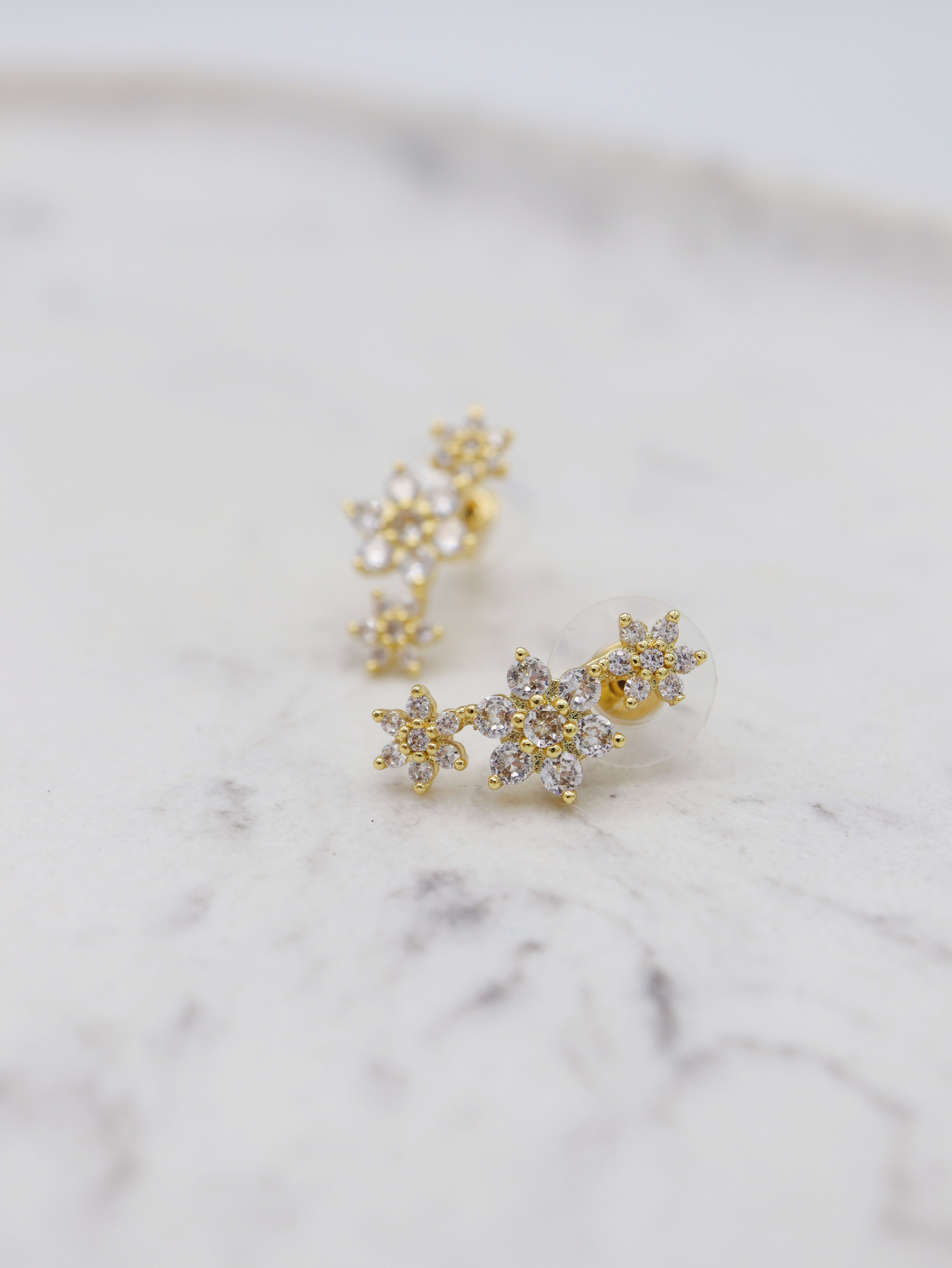 Boucle d'oreilles - Acier inoxydable -Leone