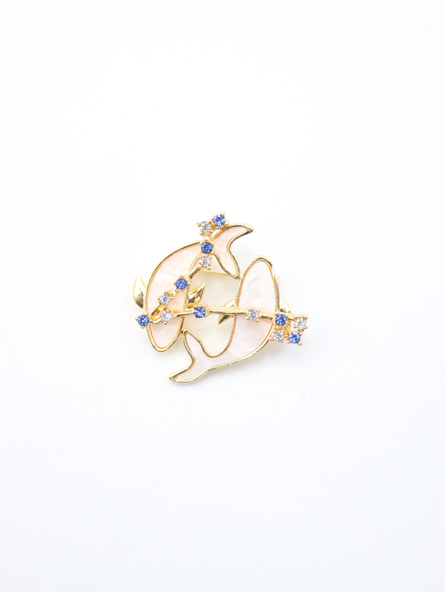 Broche - Acier inoxydable - Astra Poissons