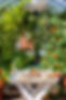 region-vasterbotten-presteles-tradgardskafe-1397.jpg