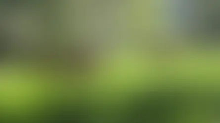 Wage hike or hidden subsidy? Government removes employers’ responsibility