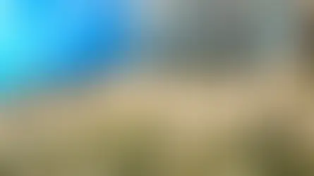 Sri Lanka - China Economic Brief : Issue VI