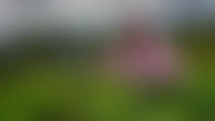 TPA backs wage hike but calls for clear implementation – Barath Arullsamy