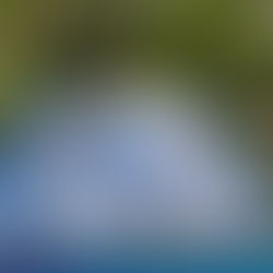 7.68 kWp grid-tied solar system in Ayala Alabang, Muntinlupa City - PHILERGY German Solar