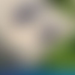 8.96 kWp grid-tied solar system in Ayala Alabang, Muntinlupa City - PHILERGY German Solar