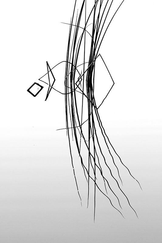 Hi-key monochrome photograph of marsh reeds and reflections evoking ancient runes