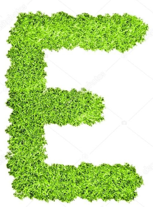 GLOSARIO DEL GOLF, VOCABULARIO Y TÉRMINOS MÁS COMUNES LETRA : E