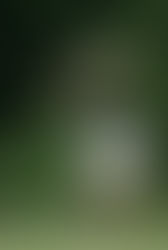 La golfista más sexy de Estados Unidos