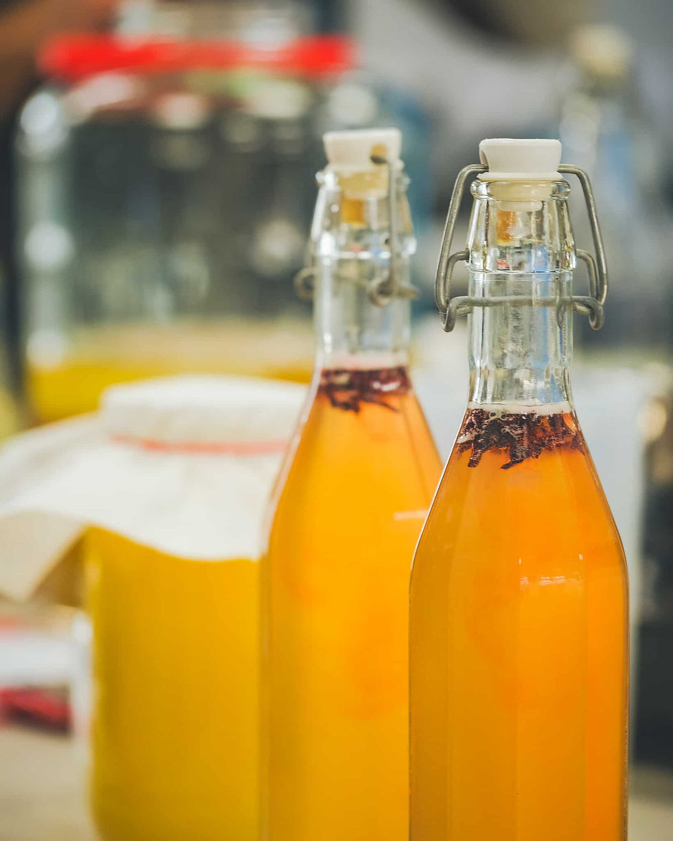 Kombucha making with Your Kombucha flavours
