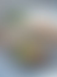 We got delivered 6 Fortify meals. After much excitement, this is what we thought.