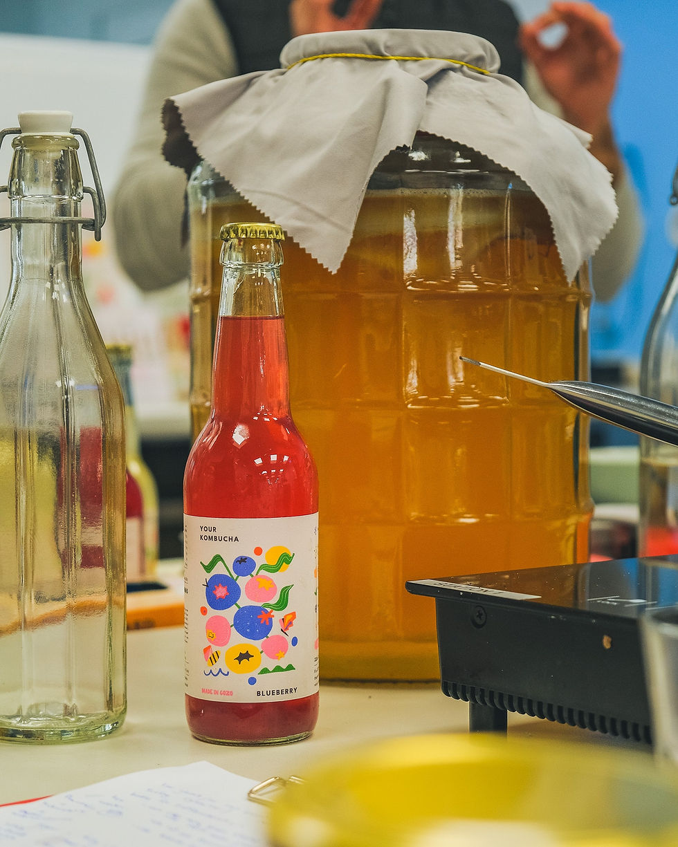 Kombucha making with Your Kombucha