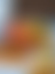 The Little Bastion: Where Heritage Meets Authentic Mediterranean Delight