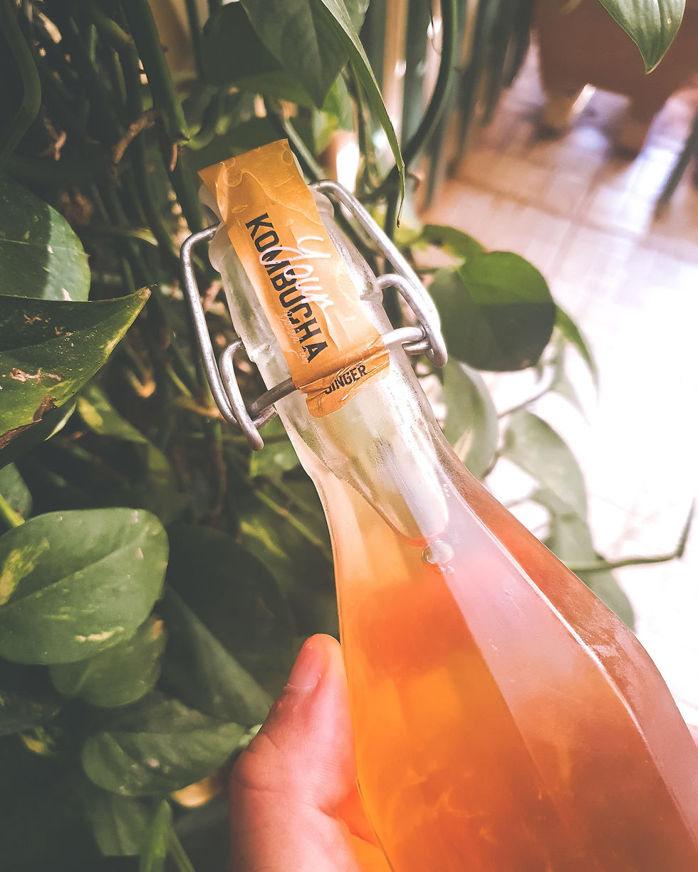 Kombucha_Drink_YourKombucha