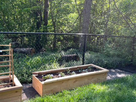Easy Raised Garden Beds