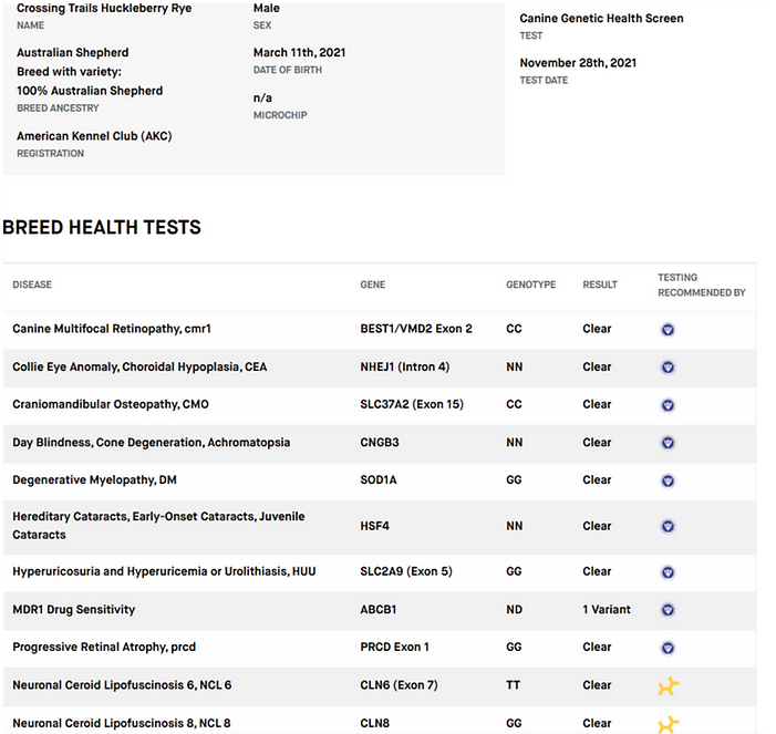 Screenshot 2025-05-13 093323_edited.png