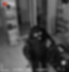 Thief on camera(compressed).png