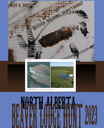 BEAVER lodge hunt page.jpg