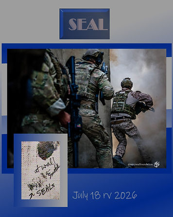 SEAL wall blue gun vertical page.jpg