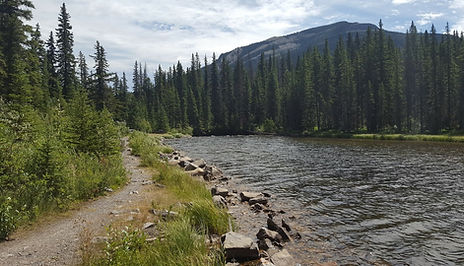 Nordegg AB hiking trail NEXT TO BIG HORN.jpg