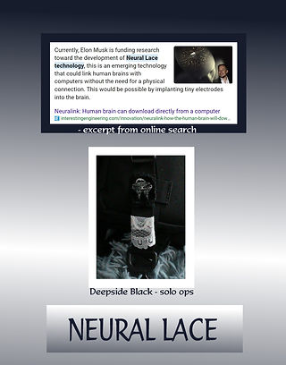 NEURAL LACE page x.jpg