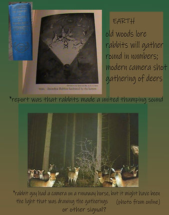 deer rabbit gatherings woods page sound.jpg