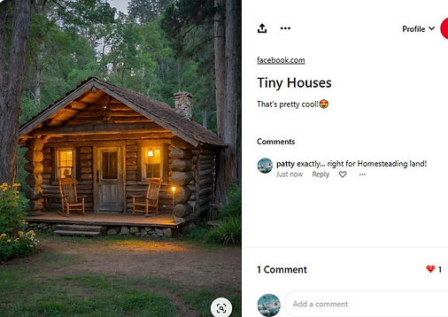 CABIN homesteeading.jpg