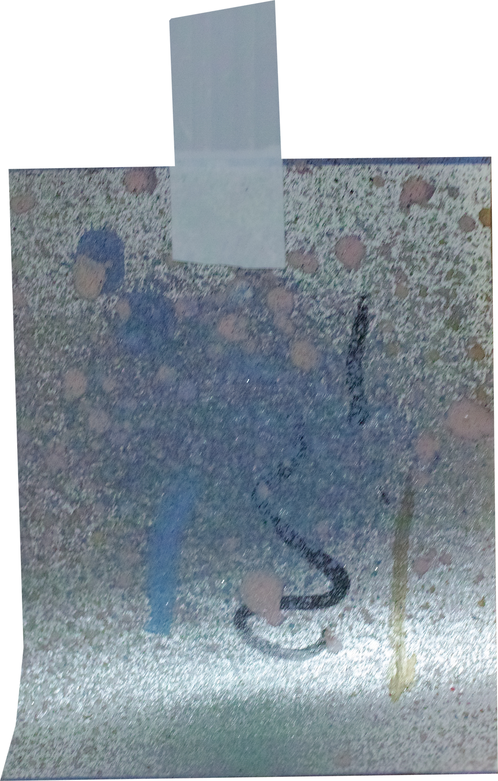 SDIM8448_cut.png