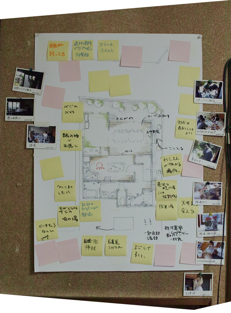 SDIM8453_cut4.png