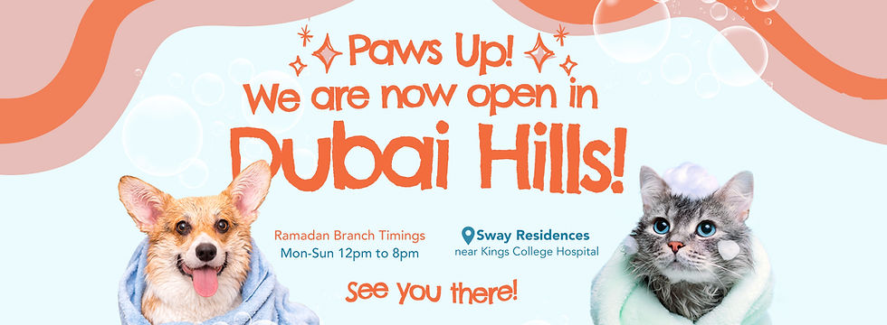 Dubai Hills Web Banner.jpg