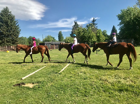 horse back riding lesson