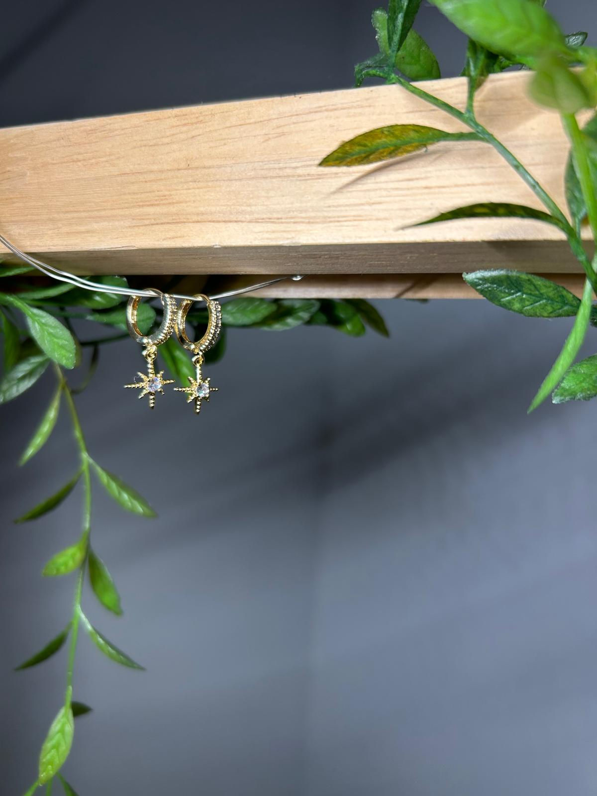 עגילי-אלונה