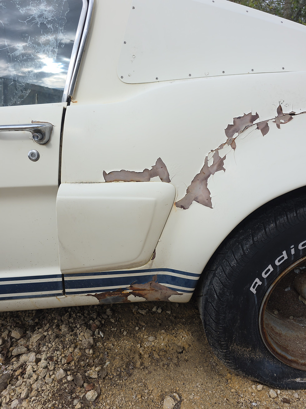 Thumbnail: 1965 "A" Code Mustang Fastback