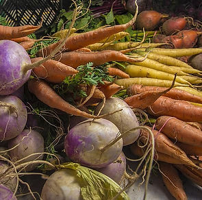 Winter Wellness in Four Easy Steps part 2