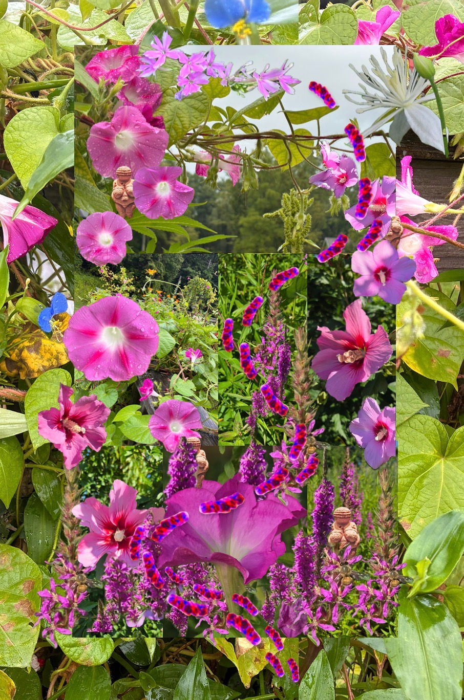 Feminist Words