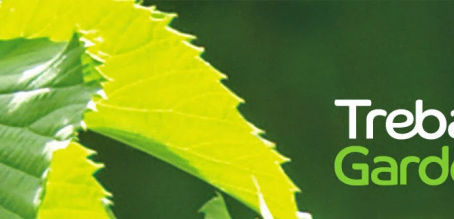 Trebah Garden in winter