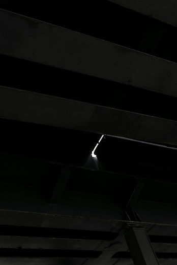 pexels-magha-artha-20095-808822.jpg