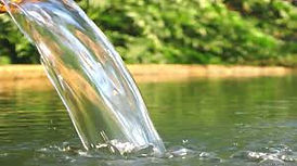 Stream water running