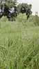 Stockphoto12_edited_edited_edited.jpg