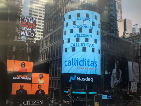 How We Empower Growth and Enable Product Launch with IT Strategic Solutions 