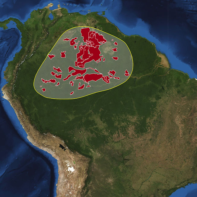 South America-2010+park.jpg