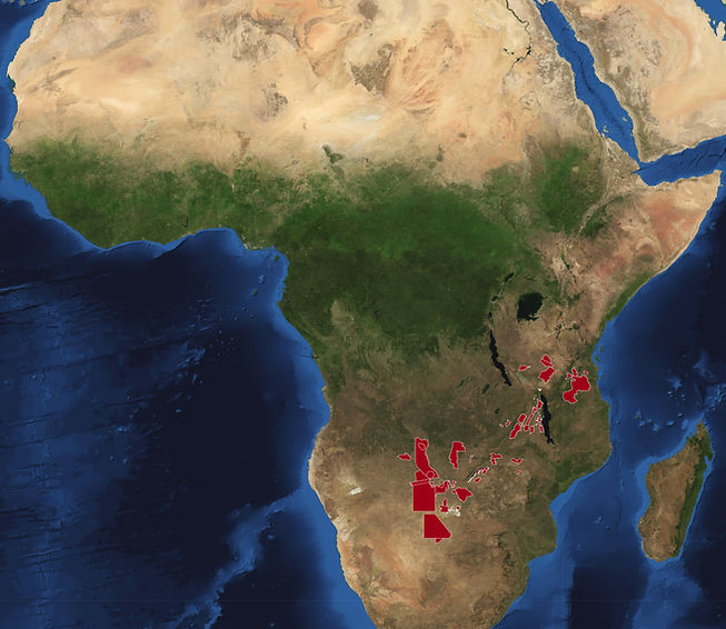 Africa-2010.jpg
