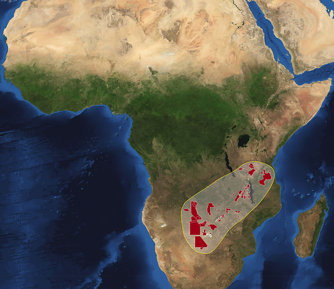 Africa-2010-park.jpg
