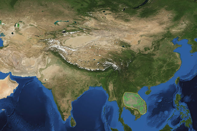 Asia-satellite-2020-park.jpg