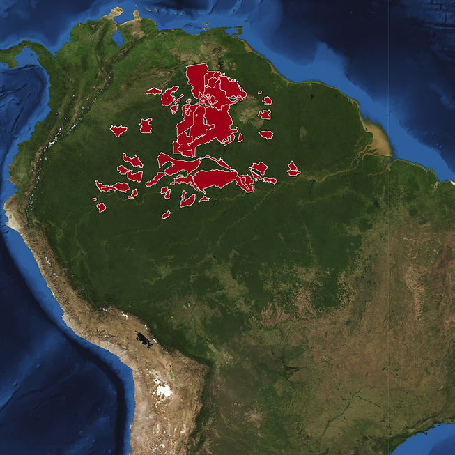 South America-2010.jpg