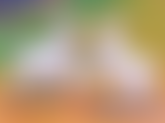 Agile Coaching lessons from 2022