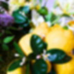 Detail mit den Blüten er Bergamotte