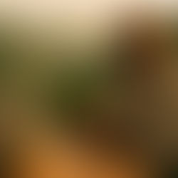 Los 5 secretos del café quindiano que cambiarán tu experiencia